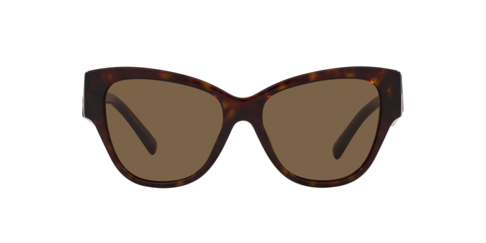 Dolce & Gabbana Sunglasses DG4449 502/73