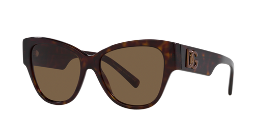 Dolce & Gabbana Sunglasses DG4449 502/73