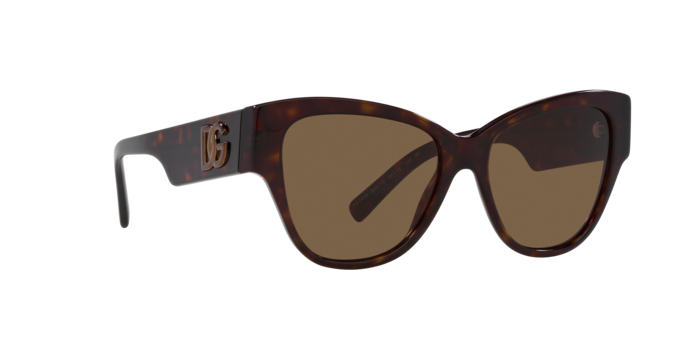 Dolce & Gabbana Sunglasses DG4449 502/73