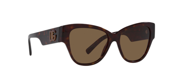 Dolce & Gabbana Sunglasses DG4449 502/73