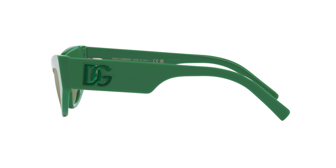 Dolce & Gabbana Sunglasses DG4450 331152