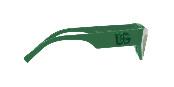 Dolce & Gabbana Sunglasses DG4450 331152