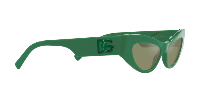 Dolce & Gabbana Sunglasses DG4450 331152