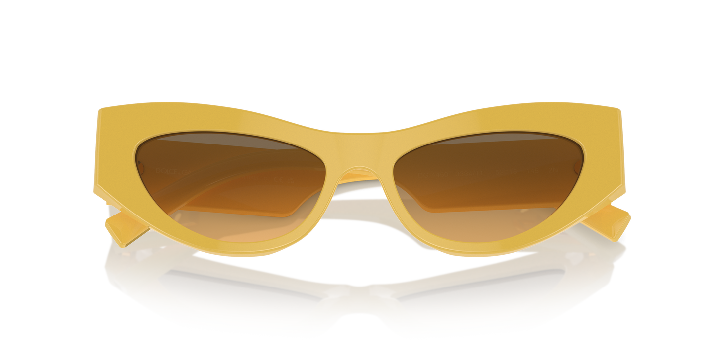 Dolce & Gabbana Sunglasses DG4450 333411