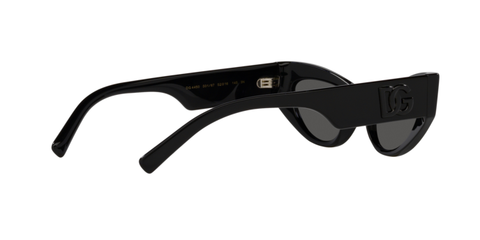 Dolce & Gabbana Sunglasses DG4450 501/87