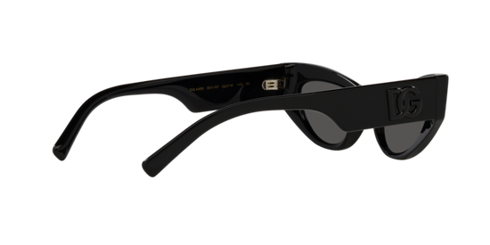 Dolce & Gabbana Sunglasses DG4450 501/87