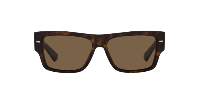 Dolce & Gabbana Sunglasses DG4451 502/73