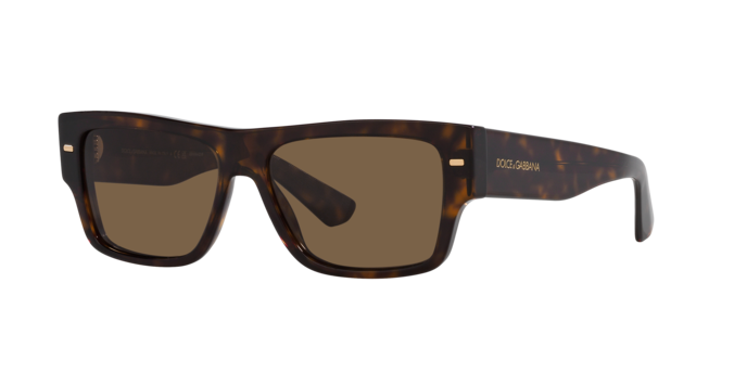 Dolce & Gabbana Sunglasses DG4451 502/73