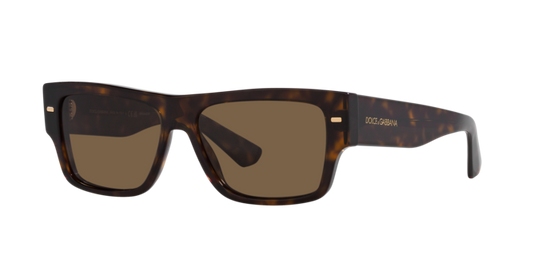 Dolce & Gabbana Sunglasses DG4451 502/73