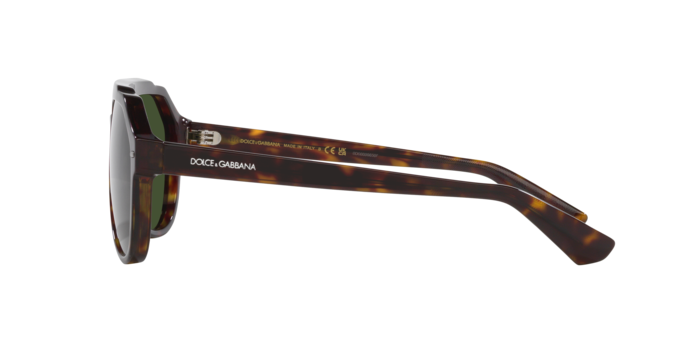 Dolce & Gabbana Sunglasses DG4452 502/71
