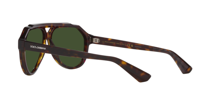 Dolce & Gabbana Sunglasses DG4452 502/71