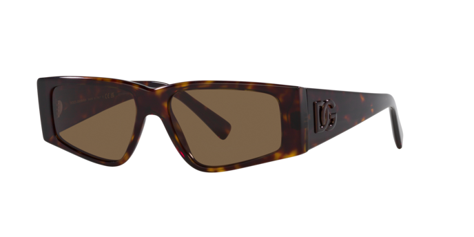 Dolce & Gabbana Sunglasses DG4453 502/73