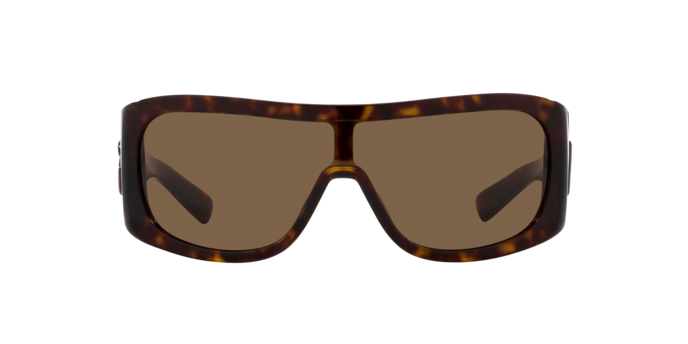 Dolce & Gabbana Sunglasses DG4454 502/73