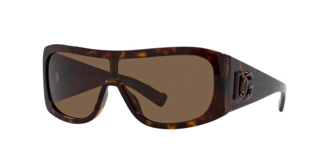 Dolce & Gabbana Sunglasses DG4454 502/73