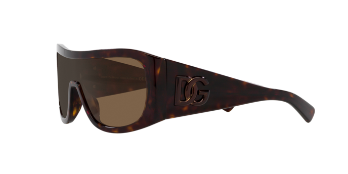 Dolce & Gabbana Sunglasses DG4454 502/73