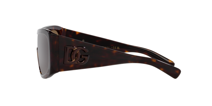 Dolce & Gabbana Sunglasses DG4454 502/73