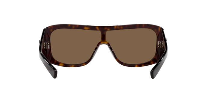 Dolce & Gabbana Sunglasses DG4454 502/73