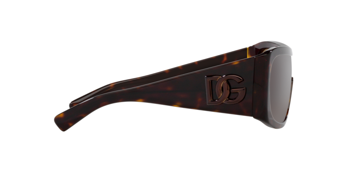 Dolce & Gabbana Sunglasses DG4454 502/73