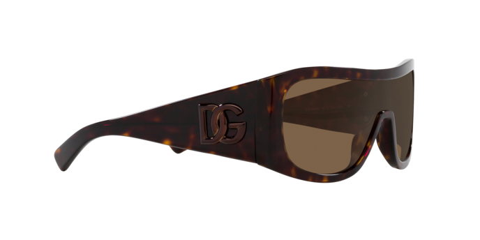 Dolce & Gabbana Sunglasses DG4454 502/73