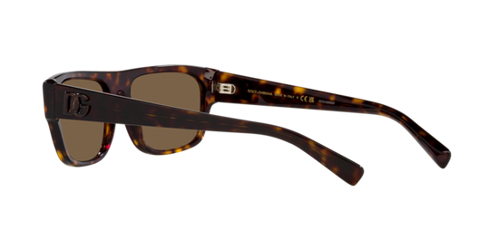 Dolce & Gabbana Sunglasses DG4455 502/73