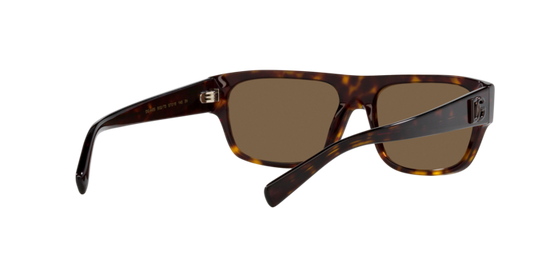 Dolce & Gabbana Sunglasses DG4455 502/73