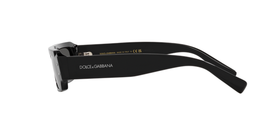 Dolce & Gabbana Sunglasses DG4458 501/87