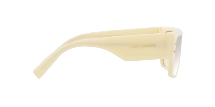 Dolce & Gabbana Sunglasses DG4459 3427J6