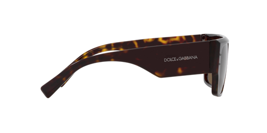 Dolce & Gabbana Sunglasses DG4459 502/73