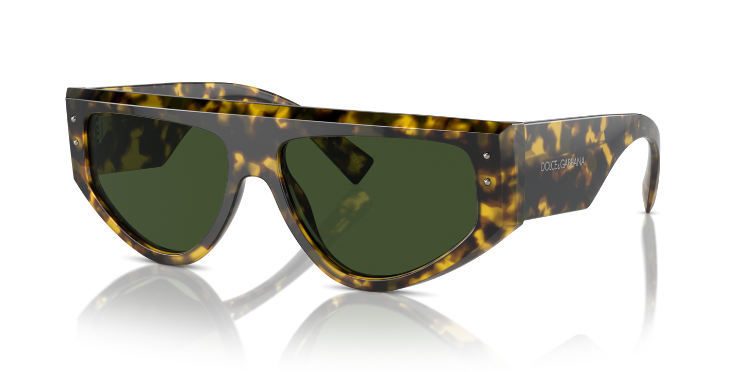 Dolce & Gabbana Sunglasses DG4461 343371