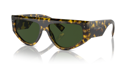 Dolce & Gabbana Sunglasses DG4461 343371