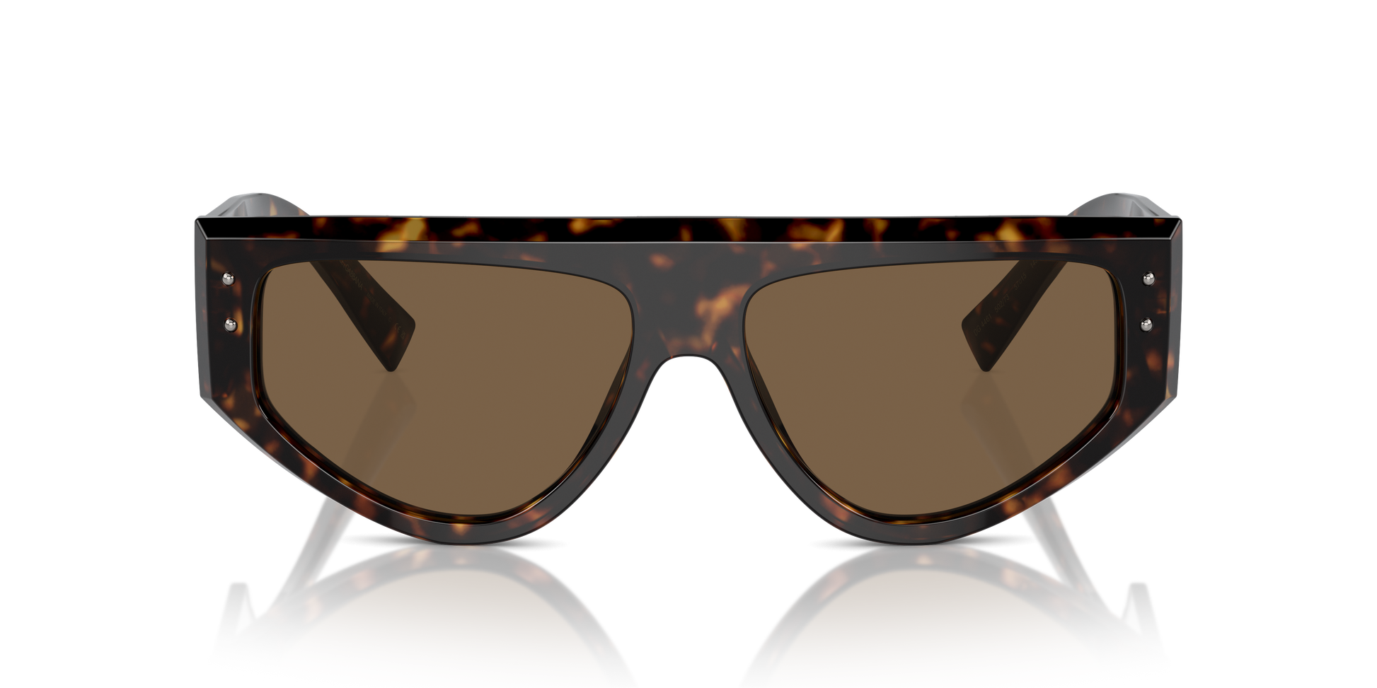 Dolce & Gabbana Sunglasses DG4461 502/73