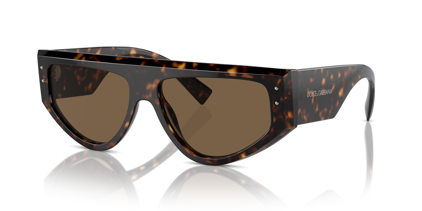 Dolce & Gabbana Sunglasses DG4461 502/73
