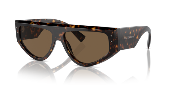 Dolce & Gabbana Sunglasses DG4461 502/73