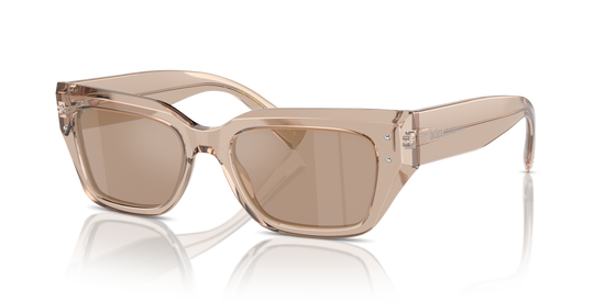 Dolce & Gabbana Sunglasses DG4462 34325A