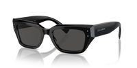 Dolce & Gabbana DG4462 501/87