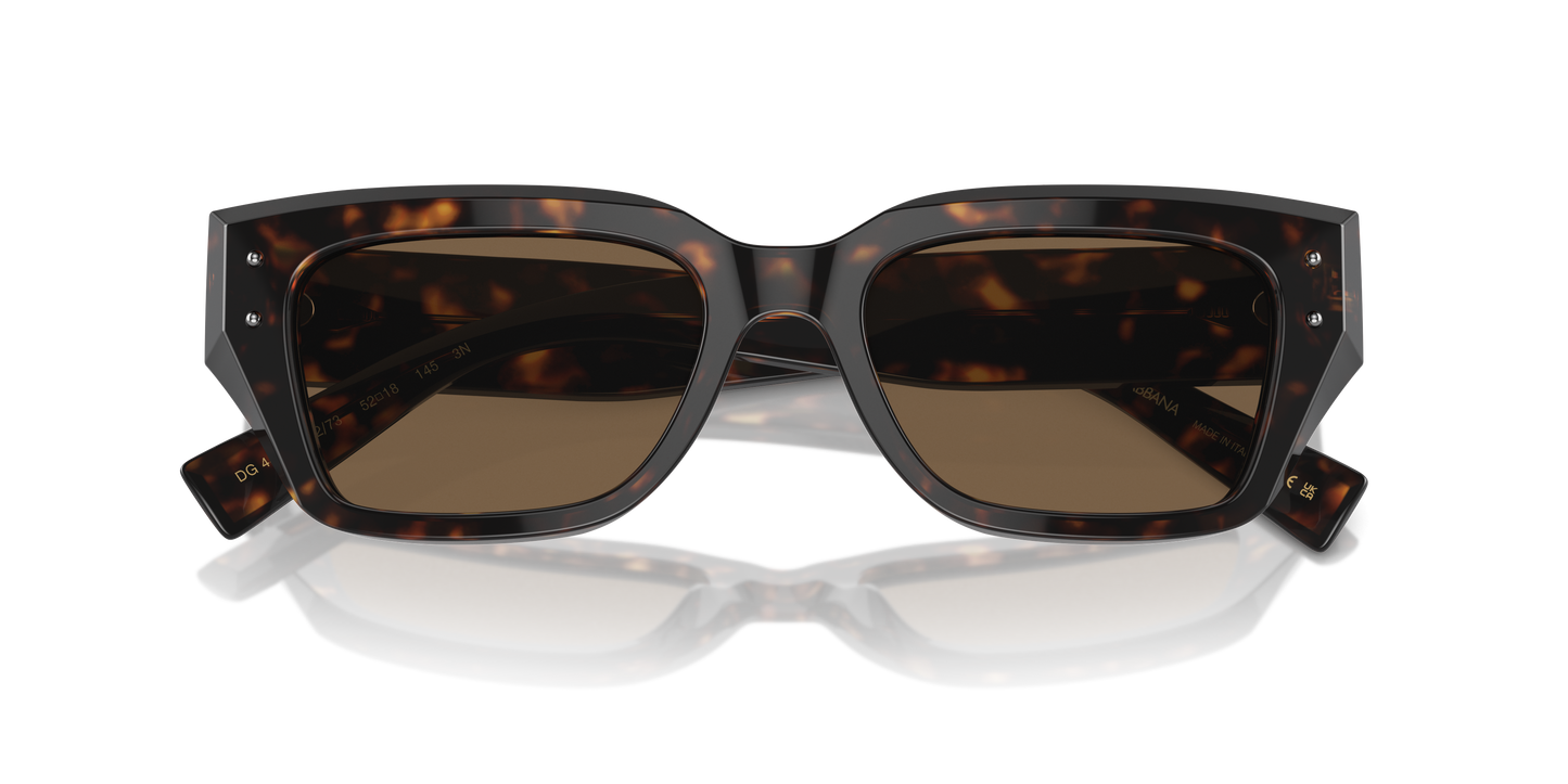 Dolce & Gabbana Sunglasses DG4462 502/73