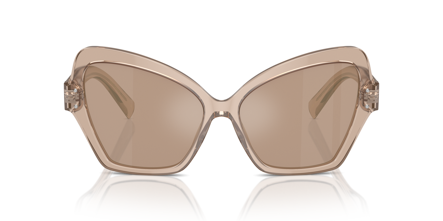 Dolce & Gabbana Sunglasses DG4463 34325A