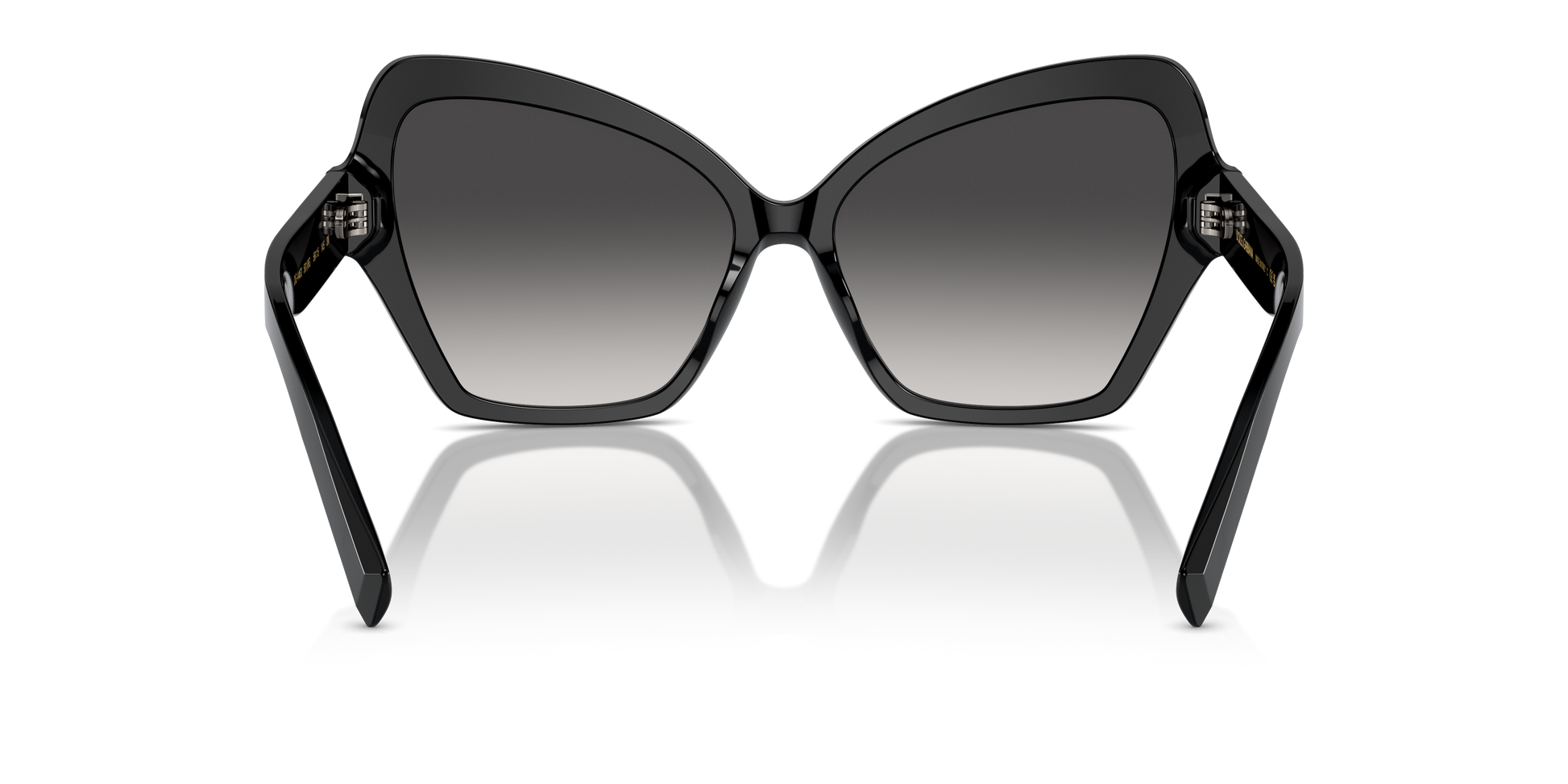 Dolce & Gabbana Sunglasses DG4463 501/8G