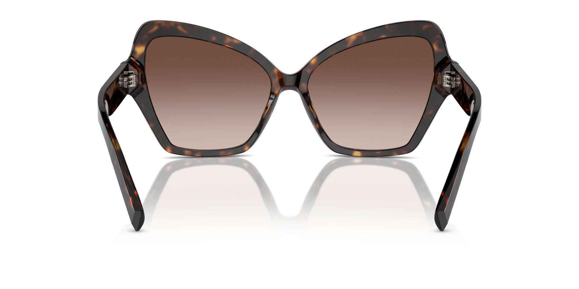 Dolce & Gabbana Sunglasses DG4463 502/13