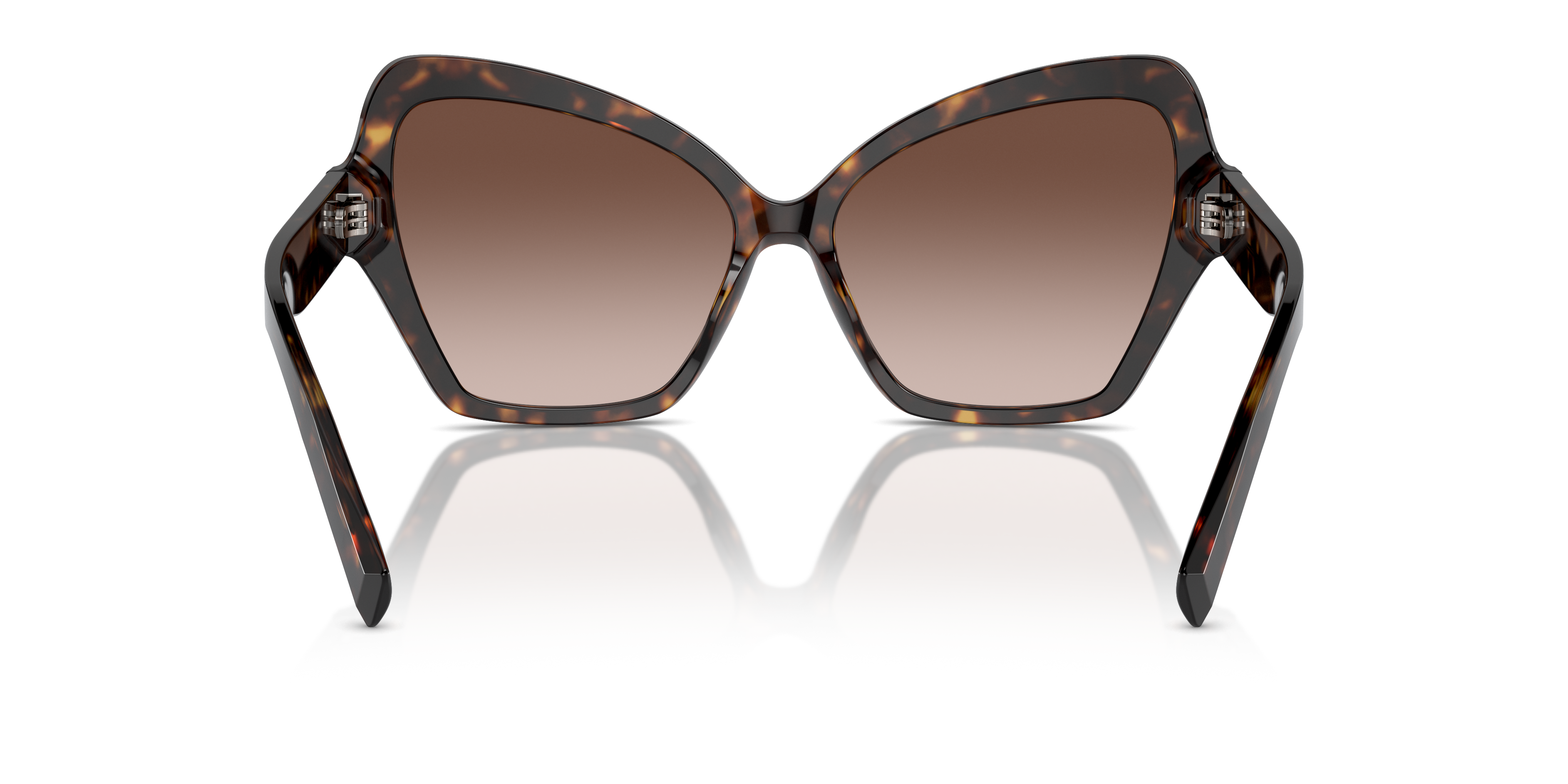 Dolce & Gabbana Sunglasses DG4463 502/13
