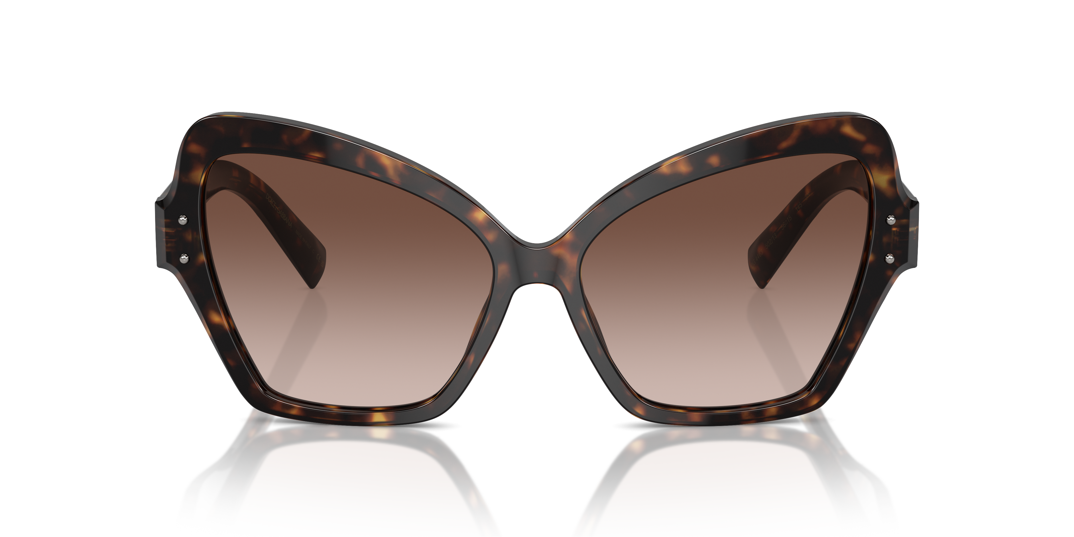 Dolce & Gabbana Sunglasses DG4463 502/13