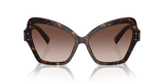 Dolce & Gabbana Sunglasses DG4463 502/13