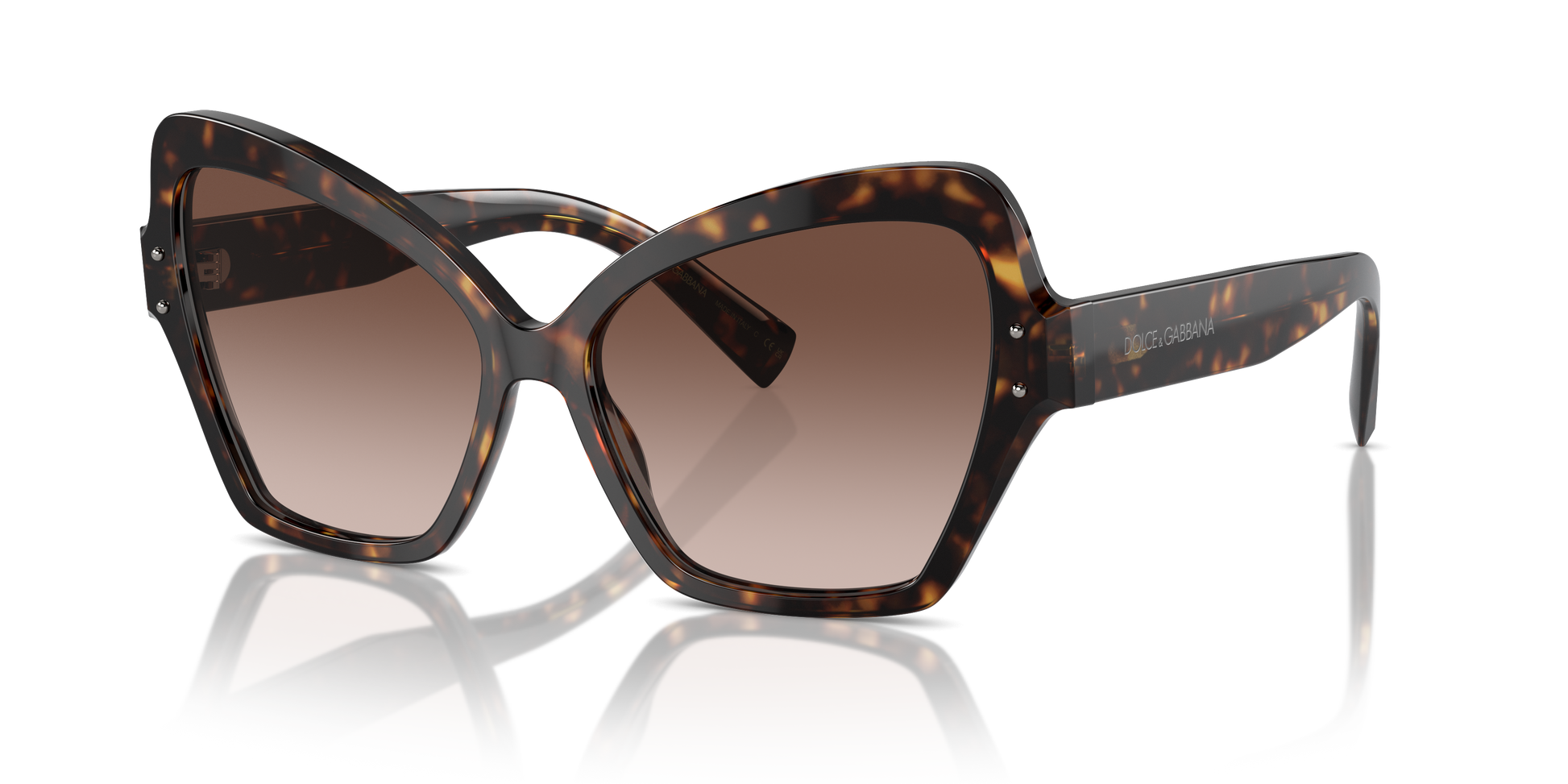 Dolce & Gabbana Sunglasses DG4463 502/13