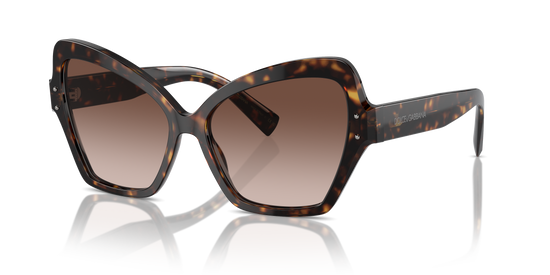 Dolce & Gabbana Sunglasses DG4463 502/13
