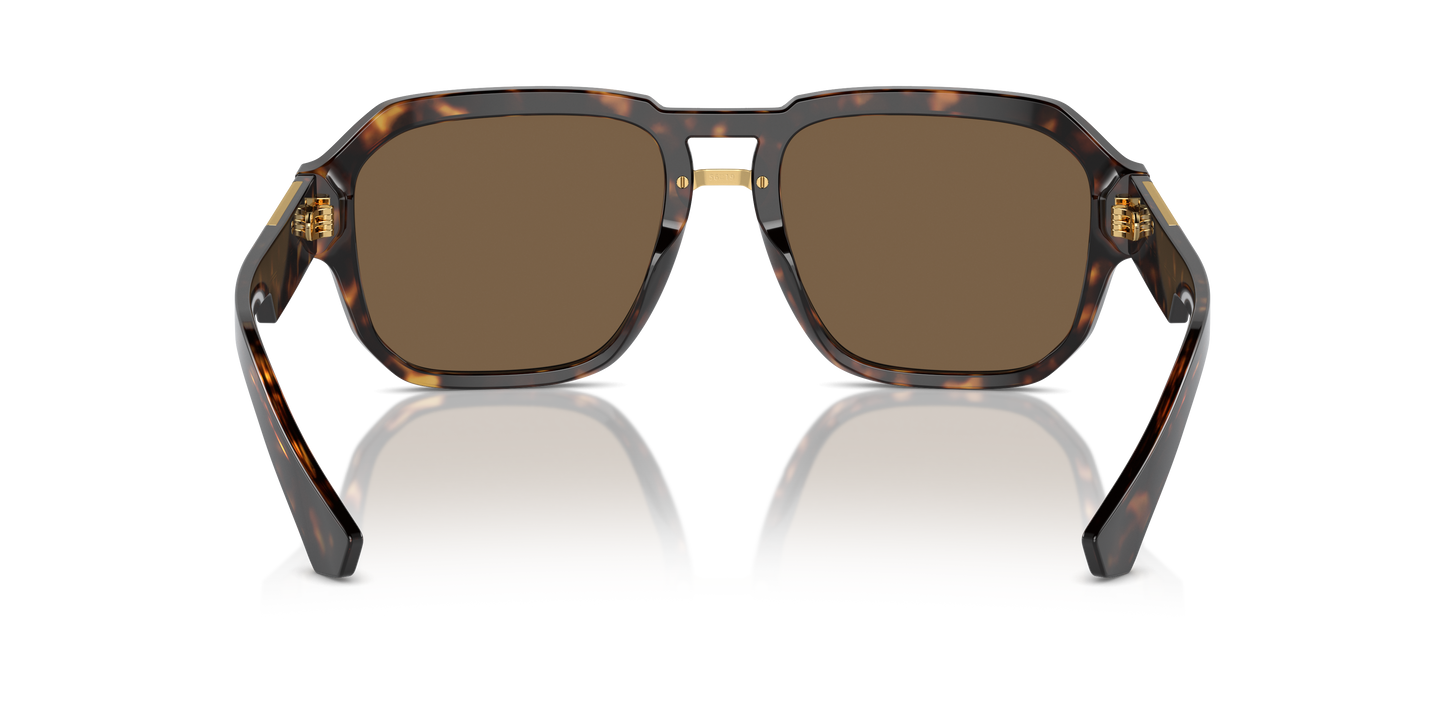 Dolce & Gabbana Sunglasses DG4464 502/73
