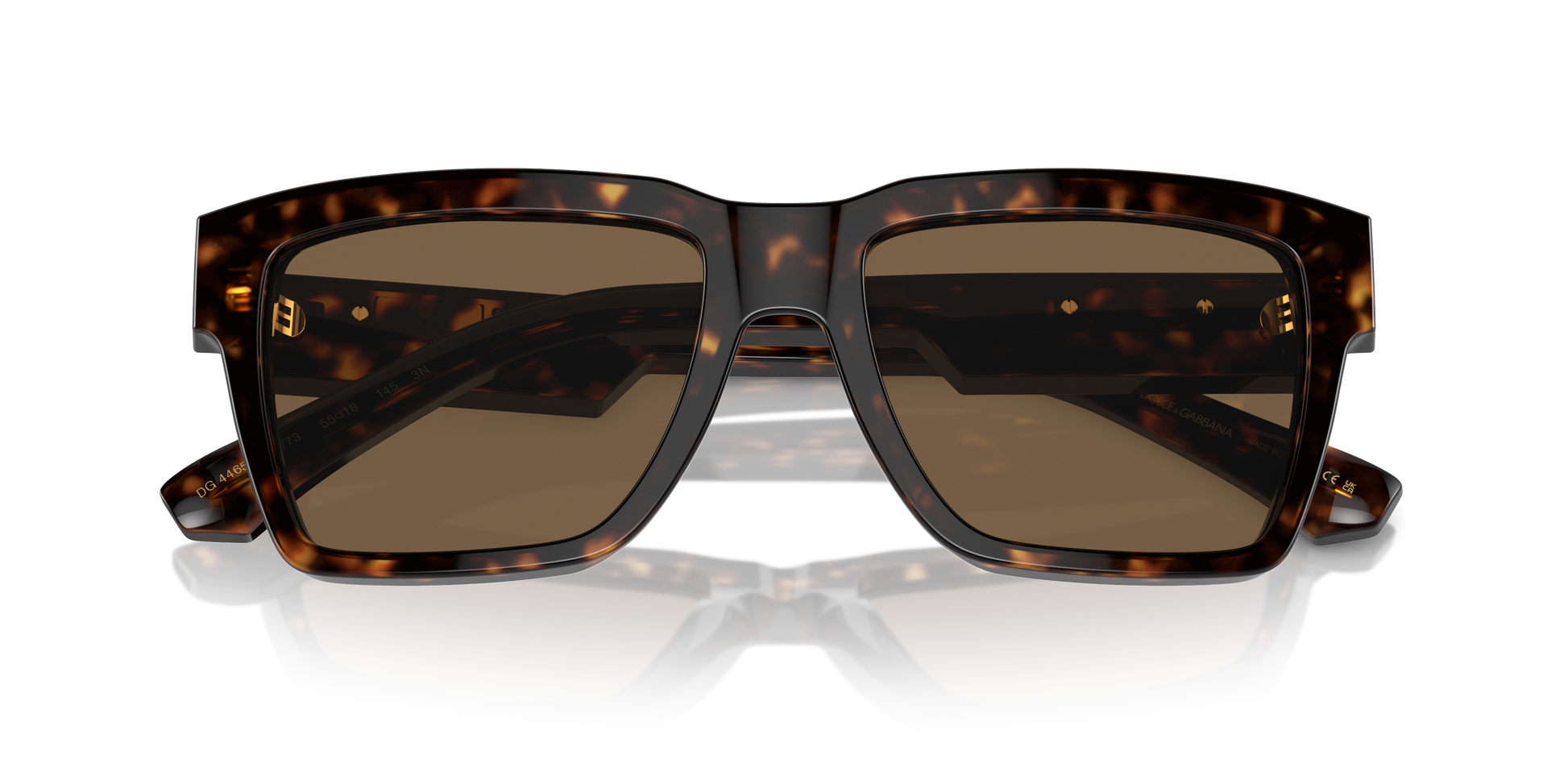 Dolce & Gabbana Sunglasses DG4465 502/73