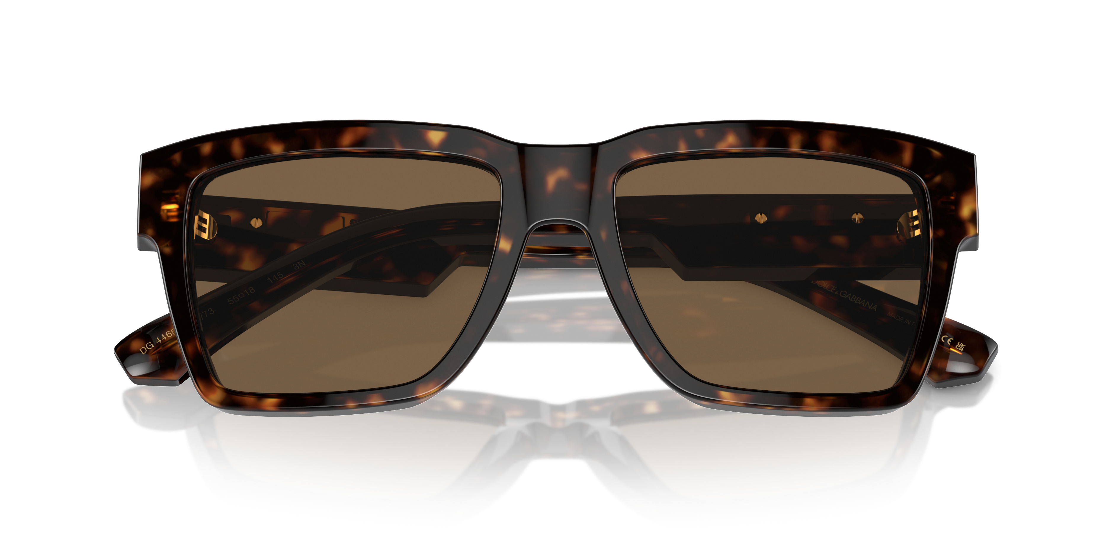 Dolce & Gabbana Sunglasses DG4465 502/73