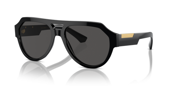 Dolce & Gabbana Sunglasses DG4466 501/87