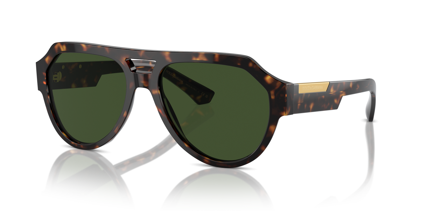 Dolce & Gabbana Sunglasses DG4466 502/71