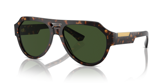 Dolce & Gabbana Sunglasses DG4466 502/71